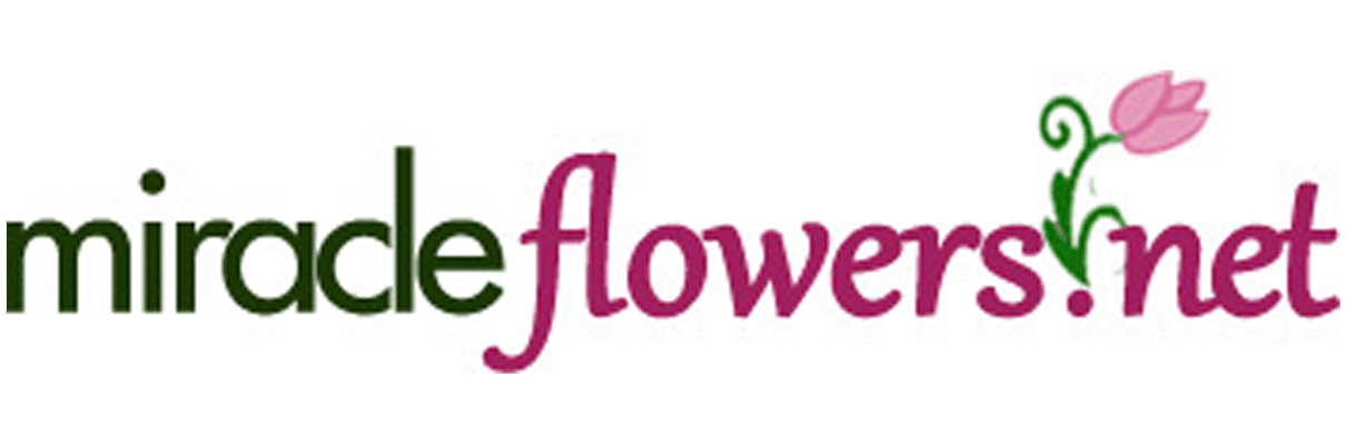 Miracle Flowers highlights the convenience of same-day delivery in Folsom, CA.