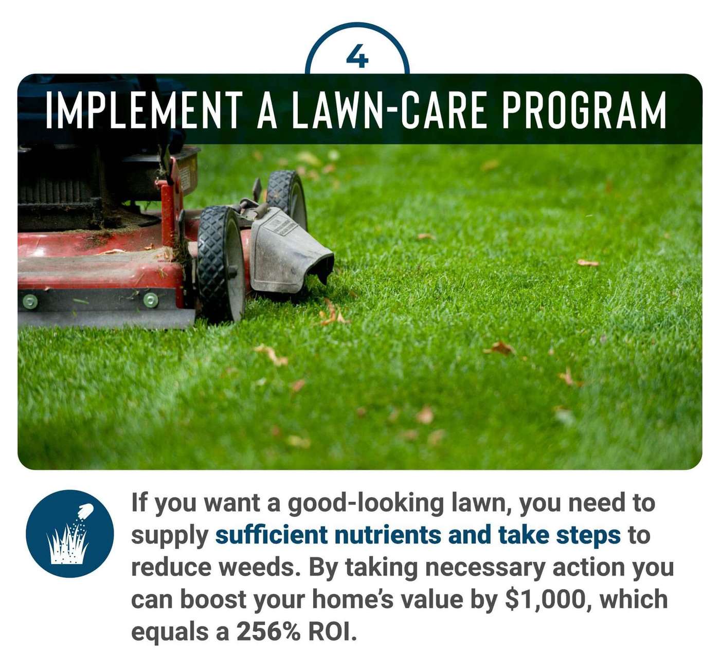 Elevate your outdoor space with a professional lawn care program.